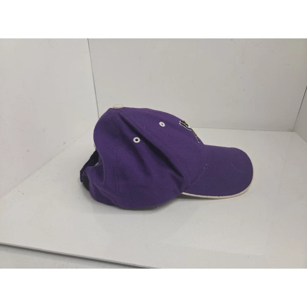 Vintage Minnesota VIKINGS - Twins Enterprise Low Profile Snapback Hat